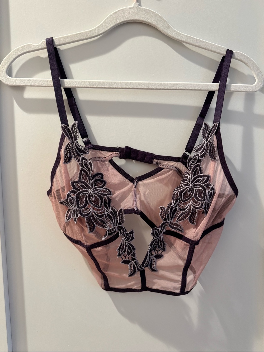 Thistle and Spire Sheer Blush Pink Bustier